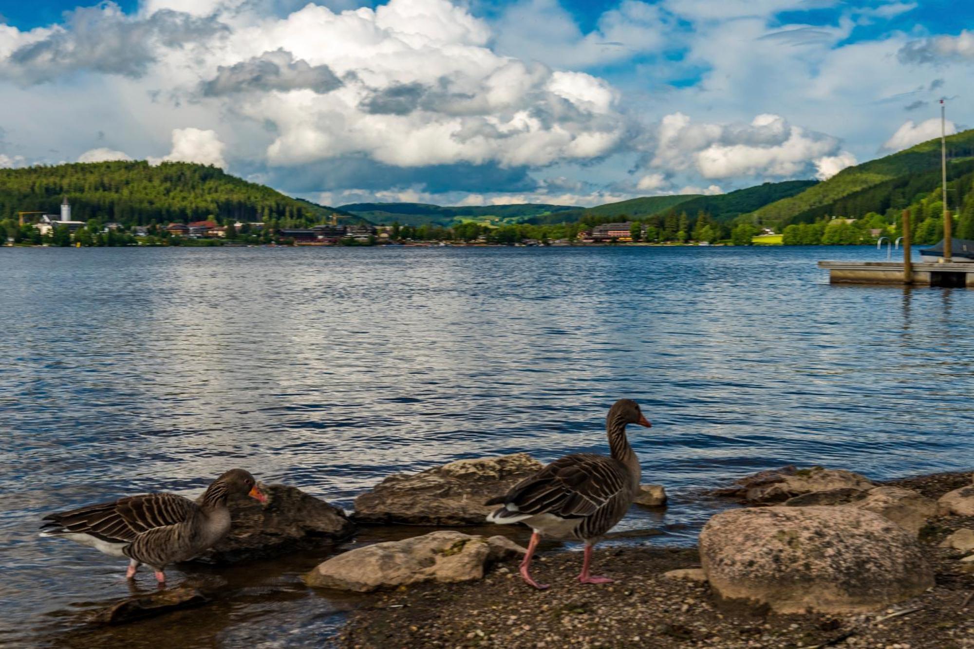 Drei Tannen - Wohnung 12 - Apartmenthaus, Titisee, Nahe Badeparadies Экстерьер фото